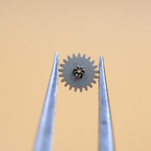 N°260 Roue de minuterie - EBEL 50 [NOS] Minute wheel