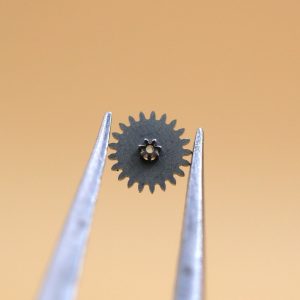 N°260 Roue de minuterie - EBEL 55 [NOS] Minute wheel