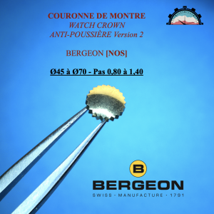 Couronne Montre Anti-poussière Ø45 à 70 - Pas 0,80 à 1,40 Canon court Doré (2)