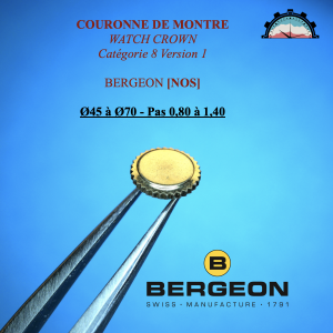 Couronne Montre Anti-poussière Ø45 à 70 - Pas 0,80 à 1,40 Canon court Doré (1)