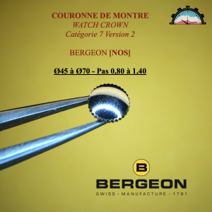 Couronne Montre Anti-poussière Ø45 à 70 - Pas 0,80 à 1,40 Canon court Acier (V2)