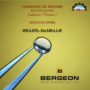Couronne Montre Anti-poussière Ø45 à 70 - Pas 0,80 à 1,40 Canon court Acier (1)