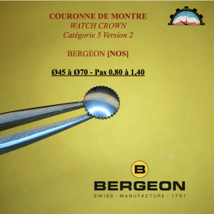 Couronne Montre Forme PUNAISE Ø45 à 70 - Pas 0,80 à 1,40 Canon court Acier (2)