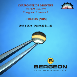 Couronne Montre Forme PUNAISE Ø45 à 70 - Pas 0,80 à 1,40 Canon court Doré (2)
