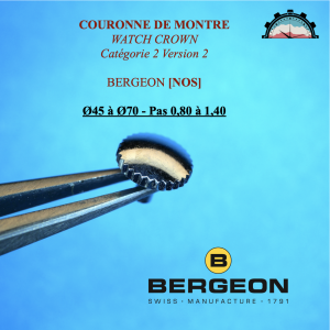Couronne Montre Forme PUNAISE Ø45 à 70 - Pas 0,80 à 1,40 Canon long Chromé (2)