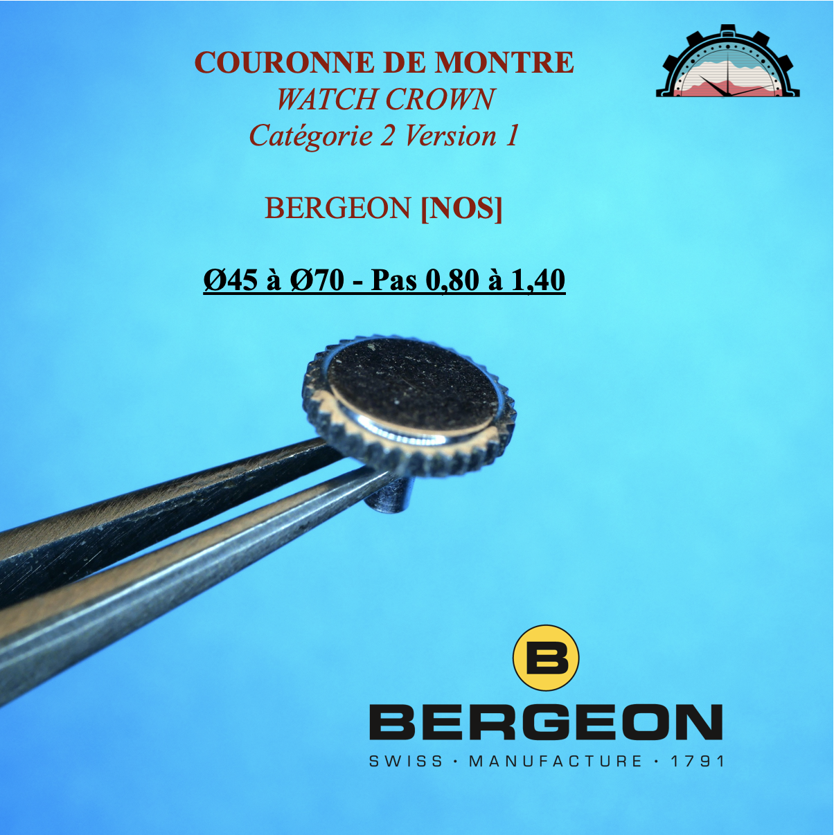 Couronne Montre Forme PUNAISE Ø45 à 70 - Pas 0,80 à 1,40 Canon long Chromé (1)
