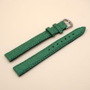 Bracelet en Requin Véritable 14 mm Vert - Fabriqué en France - Taille XL